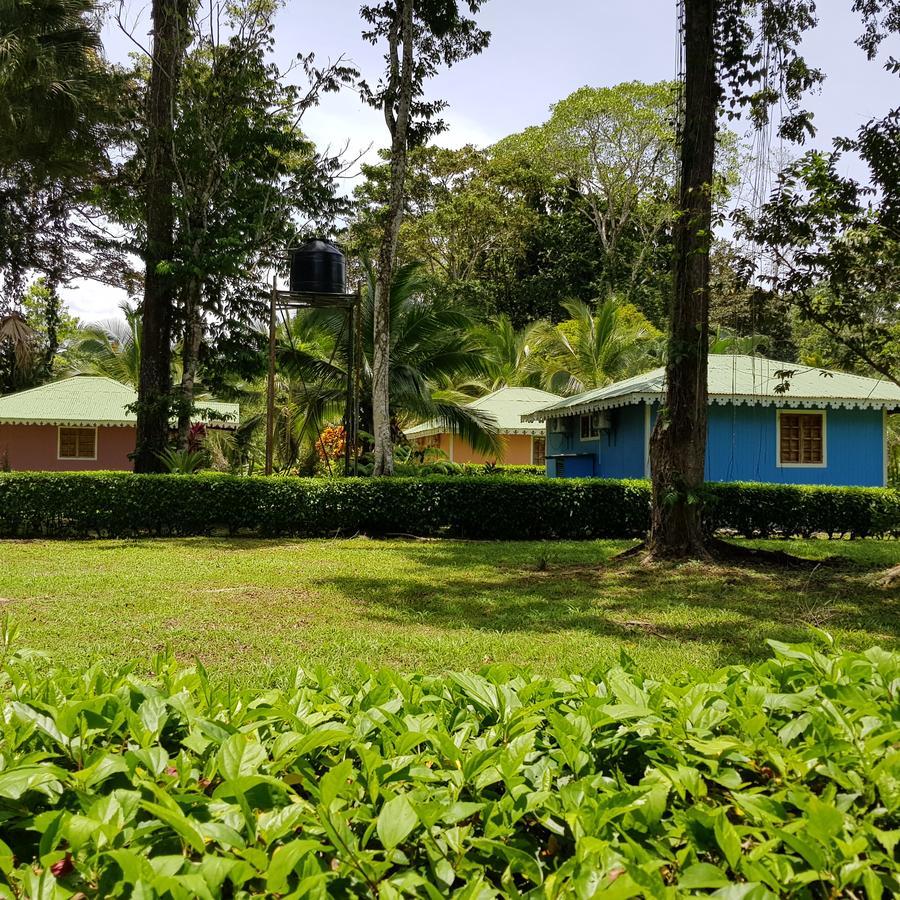 Ciudad Perdida Ecolodge Cahuita Luaran gambar