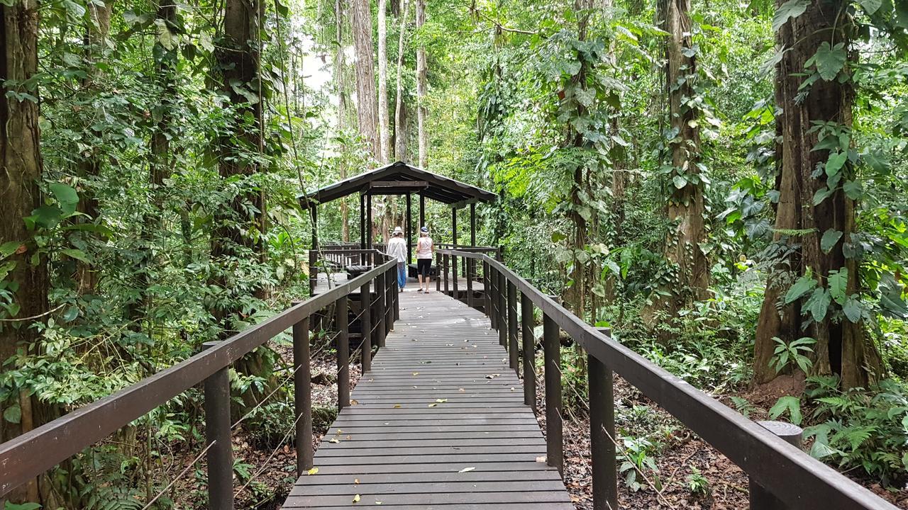 Ciudad Perdida Ecolodge Cahuita Luaran gambar